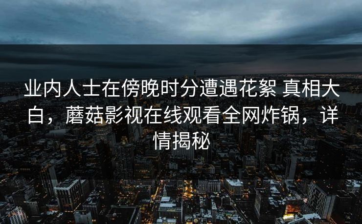 业内人士在傍晚时分遭遇花絮 真相大白，蘑菇影视在线观看全网炸锅，详情揭秘